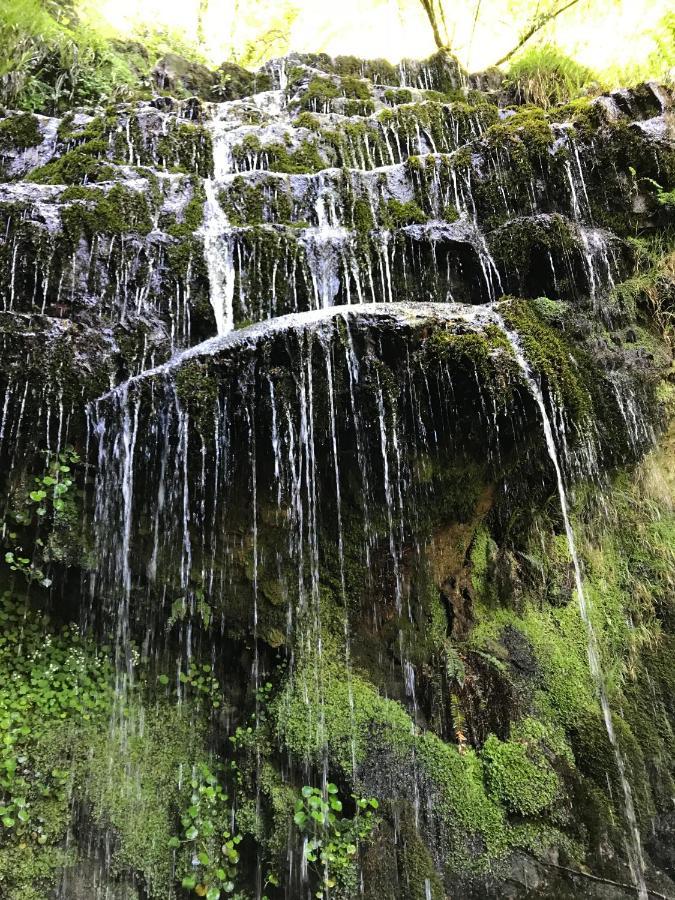Apartamentos Cuatro Aguas Ucieda Dış mekan fotoğraf